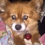 Evan Rucker - @evan.quaide55 - Instagram