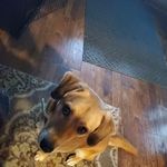 Evan Rader - @ea_rader03 - Instagram