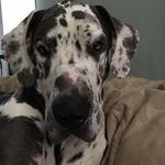 Evan Ragan - @raganevan - Instagram