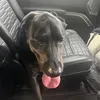Evan - @evan.ragland - TikTok