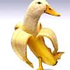 evanrizzo387 - @evanrizzo387 - TikTok