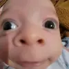 Evan Roach - @evan.roach05 - TikTok