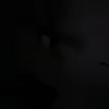 Evan Roche - @evanroche - TikTok