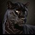 Evan Romano - Facebook