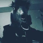 Evan Romano - @romanoevan - Instagram