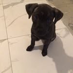 Evan Rosario - @tk_evuan - Instagram