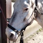 Evan Rousseau - @evan.rousseau.984 - Instagram