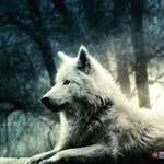 Evan Rowell - @evan.rowell.142 - Instagram