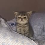 Evan Rubio - @archrubio17 - Instagram