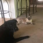 Evan Rutherford - Facebook