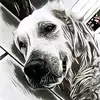 evan_rutherfordgardn - @evan_rutherfordga - TikTok