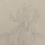 Evan Sandoval - @potatopersonisme2 - Instagram