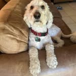 Evan Schenk - @dolphin.1829355 - Instagram