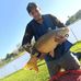 Ivan Scherer - Facebook