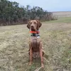 Evan - @evan.schulz - TikTok
