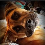 Evan Schwarz - @schwarz.evan - Instagram