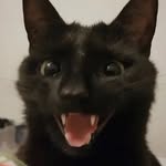 Evan - @evan._.seymour - Instagram