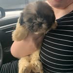 Seymour - @evans_seymour - Instagram