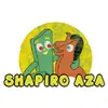 Evan Shapiro AZA #313 - @evanshapiro313 - TikTok