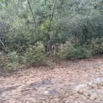 Evan Sharp - Facebook