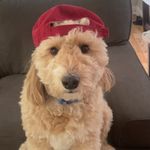 Evan Sharp - @evnsharp - Instagram