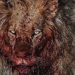 Evan Shoemaker - @big_daddy7053 - Instagram