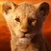 Suraj_Gupta - @evan_shoemakerr - TikTok