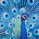 Evan Shultz - @evanshultz0 - Instagram