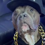 Evan Sims - @evan_sims7362 - Instagram