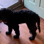 Evan Smedley - @evansmedley22 - Instagram