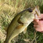 Evan Snodgrass - @ers_fishing75 - Instagram