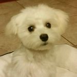 Evan Solis - @evansolis71 - Instagram
