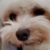 hehe - @evan_solis11 - TikTok