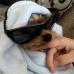 Evan somers - @evansomers587 - Instagram