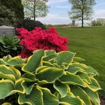 maryann.spanglerevans - @maryann.spanglerevans - Instagram