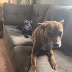 Evan Spaulding - @evan12110517 - Instagram