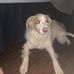 Evan Spaulding - Facebook