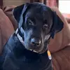 evaspeaker - @evaspeaker - TikTok