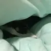 AstralEvanspear - @astralevanspear - TikTok