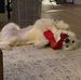 Evan Sperber - Facebook