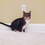 Evan Sprague - @evvannspragguee - Instagram