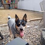Evan Skeen - Facebook