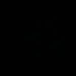 Evan Stanton - @evan_stanton27 - Instagram