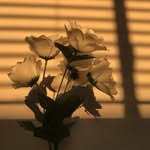 @_evan_stark_ - Instagram