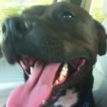 Evan Stearns - @erst223 - Instagram