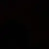 Evan Stearns - @evanstearns13 - TikTok