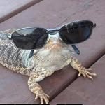 Evan Stearns - @deal_with_it21 - Instagram