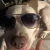 Evan Scott Steger - @evansteger420 - TikTok