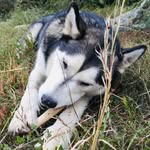 Evan Steger - @evansteger - Instagram