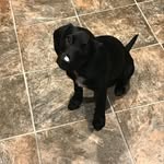 Evan Steger - @evanstegerrrrr - Instagram